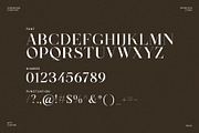 Slovika Elegant Serif Font, a Serif Font by Perfectype (Thumbnail 6 of 6)