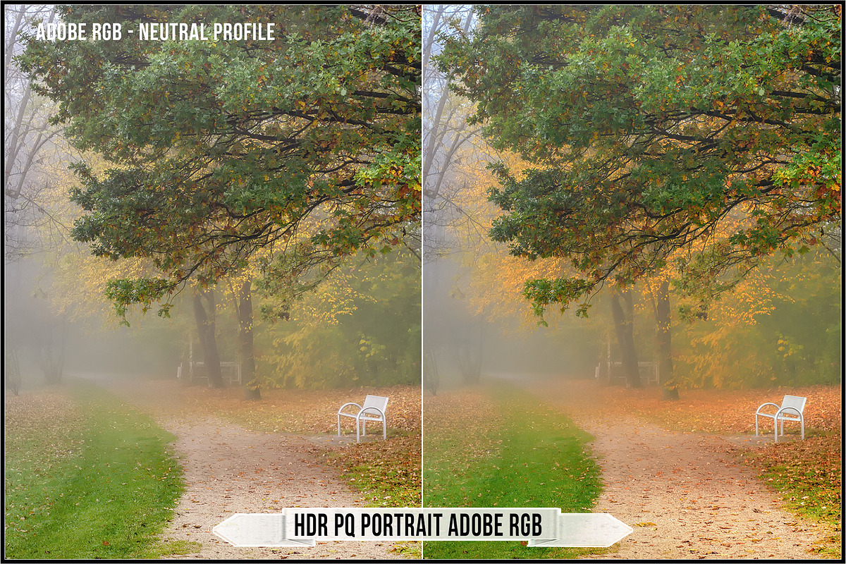 Canon HDR PQ Picture Styles, a Plug-in Add-On by Raztrend (Photo 6 of 30)