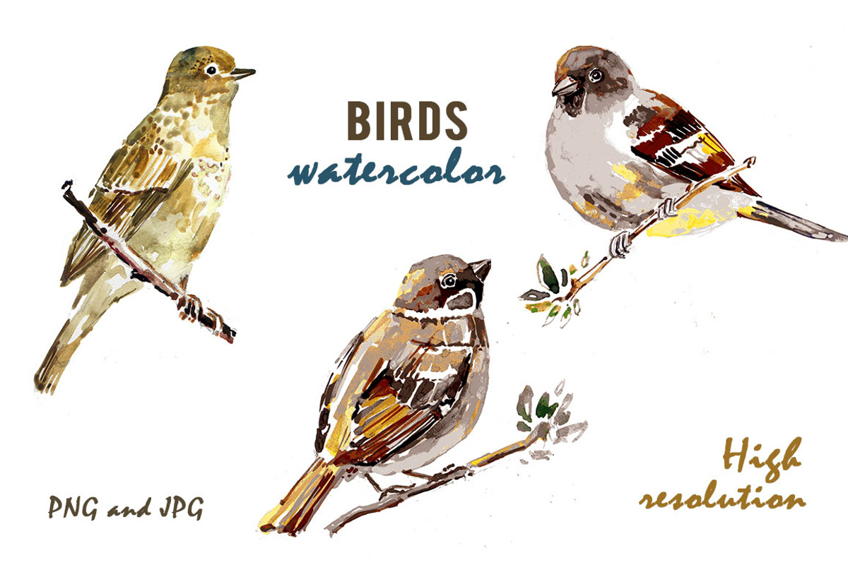 Birds on a branch in watercolor, an Animal Illustration by lidiya_zayac (Photo 2 of 3)