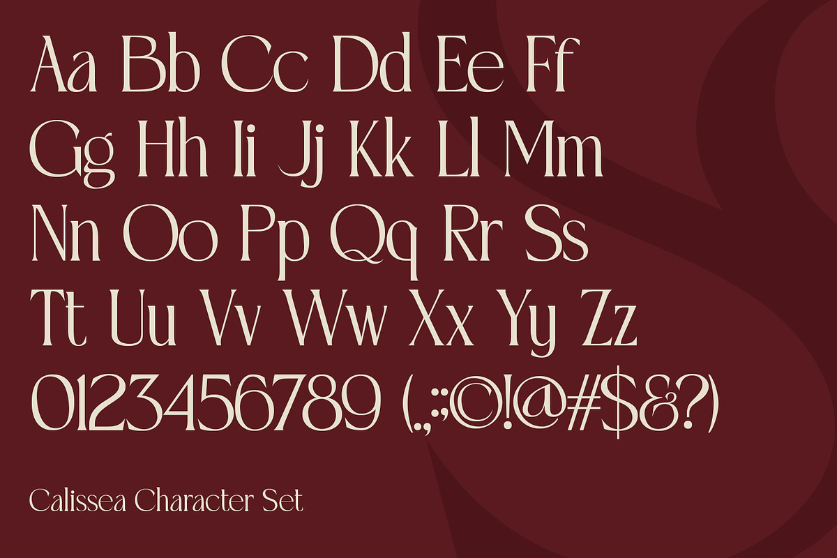 Calissea, a Serif Font by din-studio.com (Photo 9 of 10)