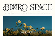 Mirole - Modern Luxury Font, a Serif Font by Bentype Studio (Thumbnail 6 of 7)