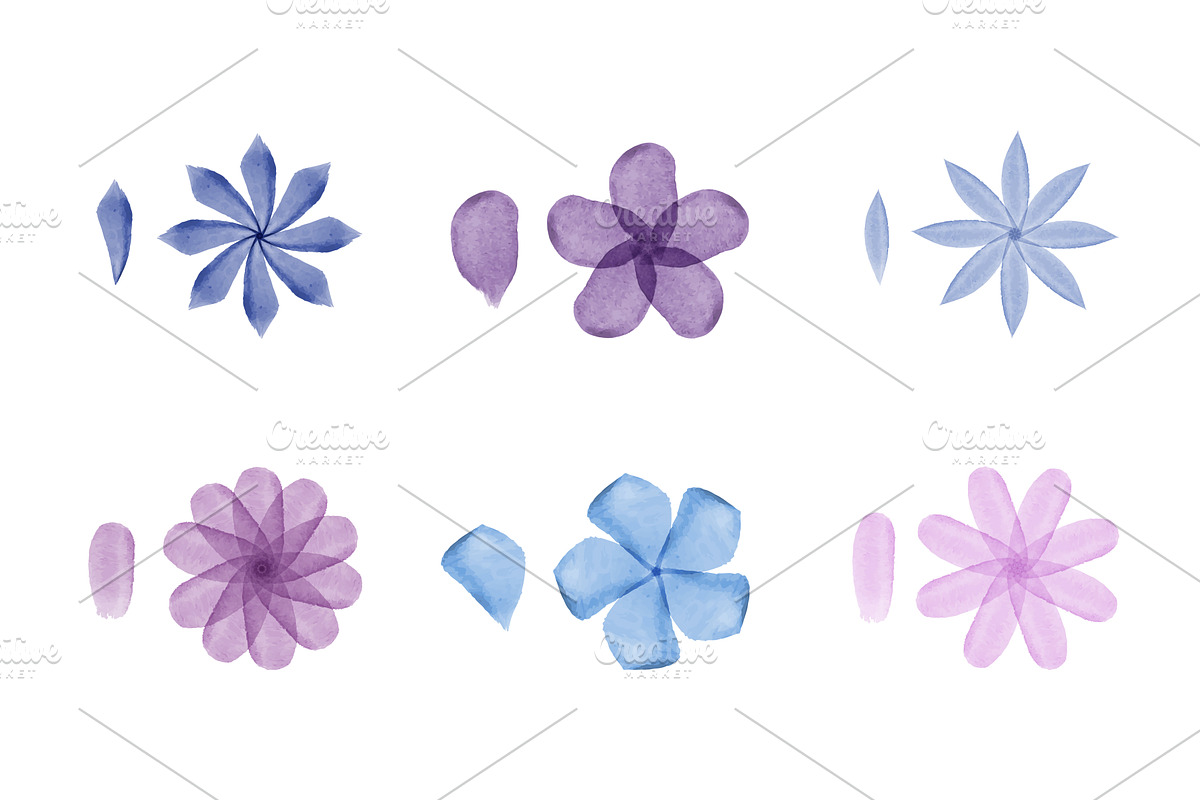 Watercolor flower illustrations with, an Illustration by okskukuruza