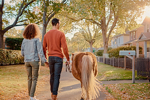Adult couple walking pony outdoors in autumn neighborhood, a Person Photo by DanFLCreativo