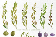 Watercolor Olive Branches and Leaves, an Illustration by Essem Creatives (Thumbnail 2 of 3)