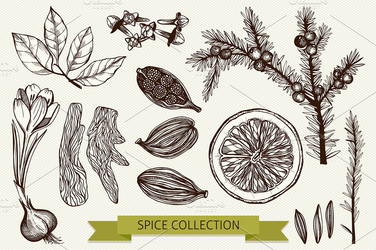 Ink Hand Drawn Spice Collection preview 5
