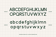 Mora Flore Floral Sans Font, a Sans Serif Font by Rasio Studio (Thumbnail 2 of 10)
