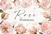 Watercolor Rose Floral Elements, a Decorative Illustration by Damian Roh (Thumbnail 1 of 13)