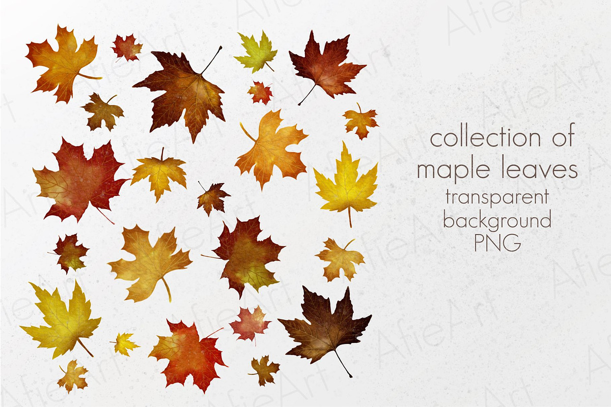 Autumn leaves set, a Decorative Illustration by AfieArt (Photo 3 of 7)