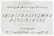 Franchisca Luxury Script, a Script Font by Creatype Studio (Thumbnail 9 of 9)