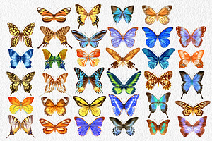 34 Watercolor Butterflies