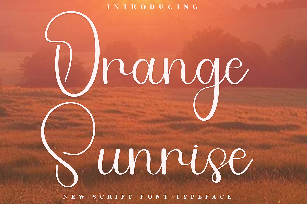 Orange Sunrise, a Handwritten Font by FreshTypeINK (Photo 1 of 8)