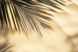 Shadows of palm leaves dance on warm beach sand in bright sunlight, a Nature Photo by AlyaAnd