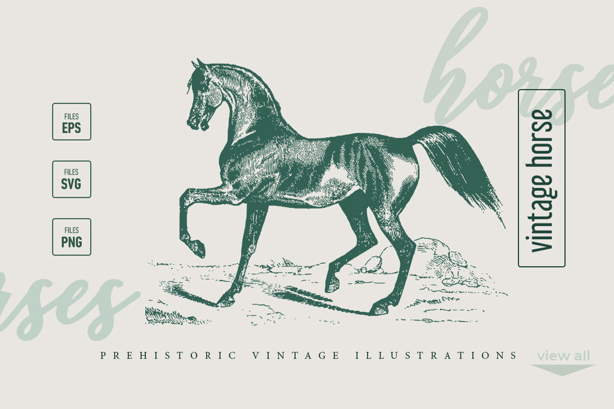 Vintage Horses, an Illustration by Retro Machine (Photo 2 of 5)