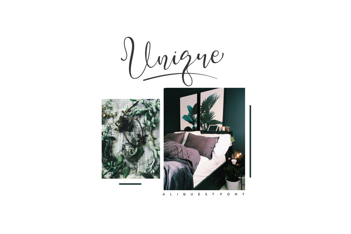 Aliquest Script Font preview 2