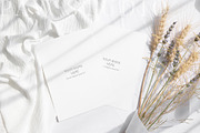 Card Mockup 5x7 2c5 HRV, a Merchandise Mockup by PawMockups (Thumbnail 2 of 10)
