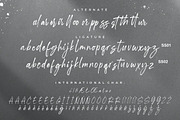 Shutterland Handbrush Script, a Script Font by Creatype Studio (Thumbnail 9 of 9)