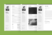 Big Set of Professional Resumes 1, a Resume Template by DEFNST (Thumbnail 11 of 14)