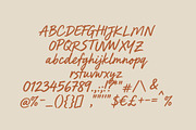 Morrow Handwritten Script Font, a Script Font by kavoon (Thumbnail 9 of 10)