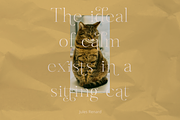 Gloriav, a Serif Font by Glyphofik x GudPap (Thumbnail 2 of 9)