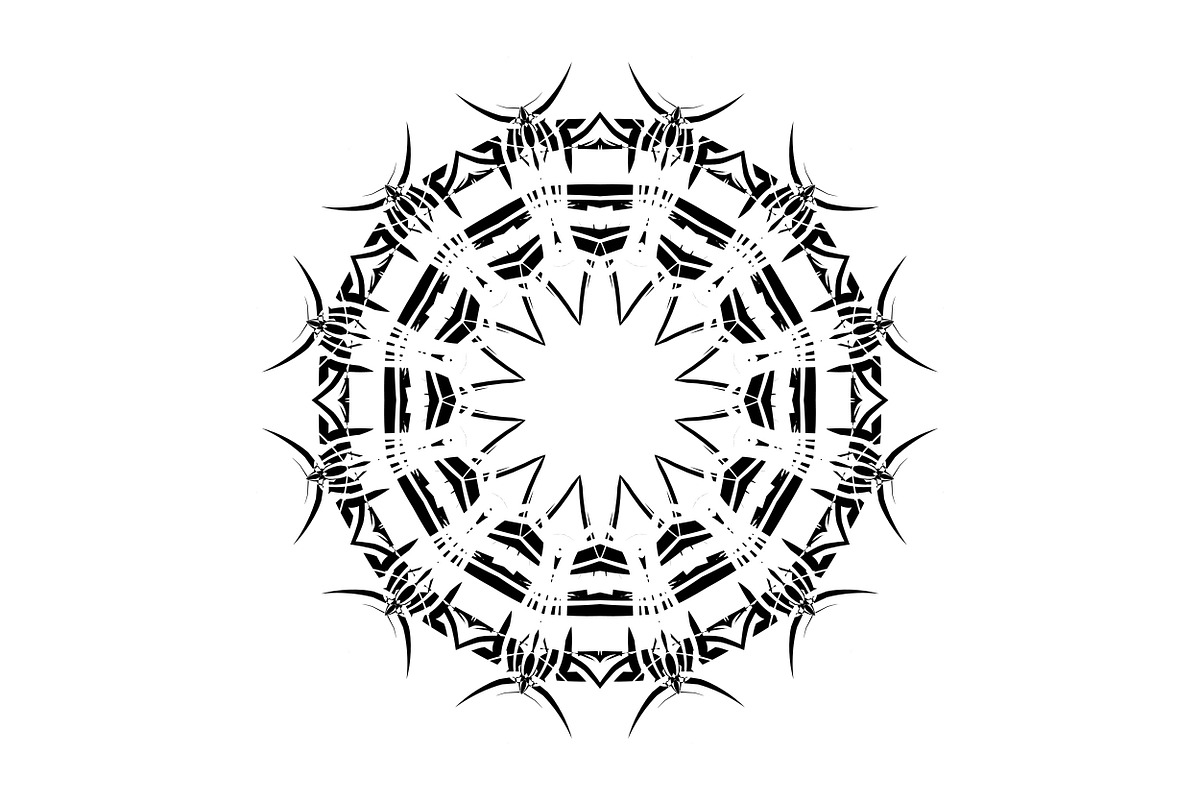 Premium Mandala Illustration Pack, a Decorative Illustration by NJ Himel (Photo 76 of 101)