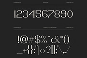 Bosch Display Font, a Serif Font by iframe fonts (Thumbnail 7 of 14)