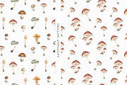 Mushrooms Watercolor Clipart, an Education Illustration by Ooh Lily (Thumbnail 6 of 8)