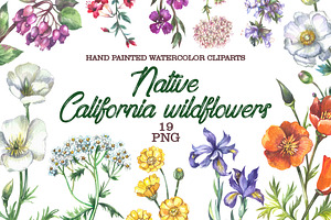 Native California wildflowers