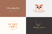 Eligade, a Serif Font by DYSA Studio (Thumbnail 3 of 12)