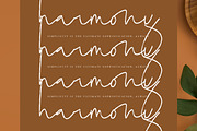 Mono Tales, a Handwritten Font by operatype.co (Thumbnail 3 of 15)