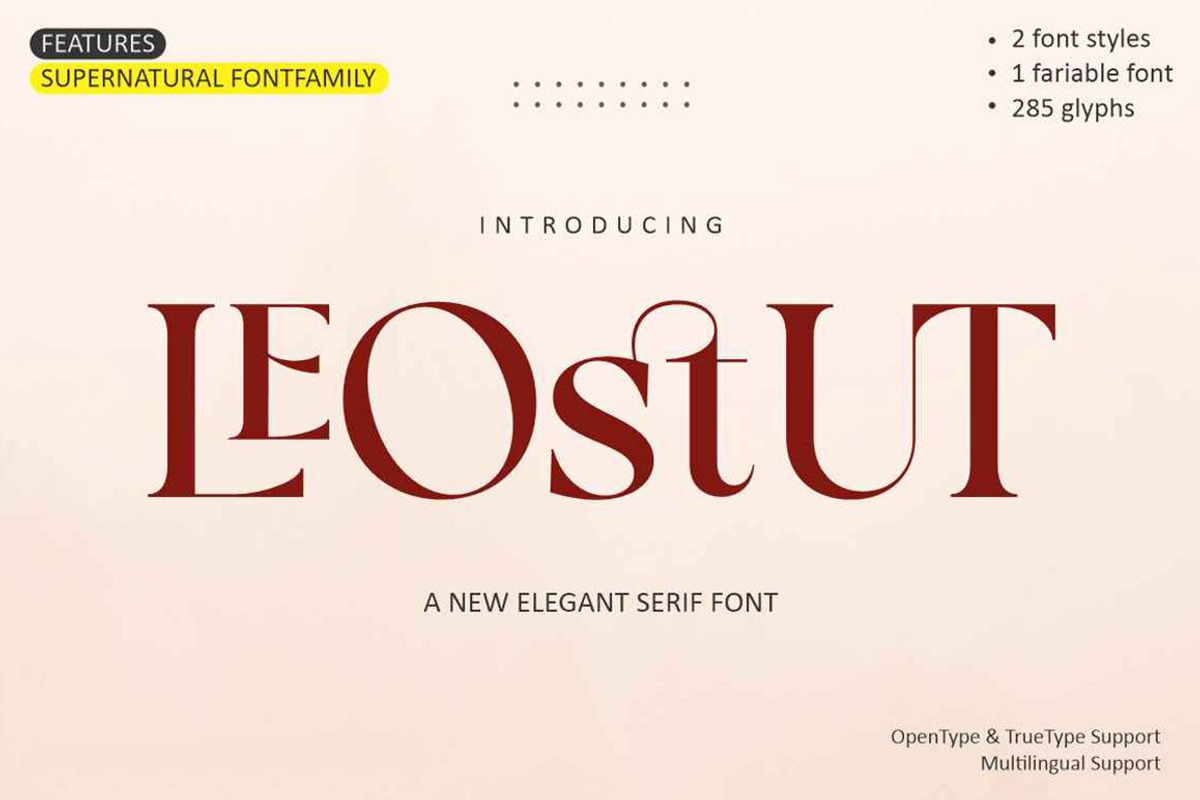 LeoStut, a Serif Font by studiobasic (Photo 12 of 12)