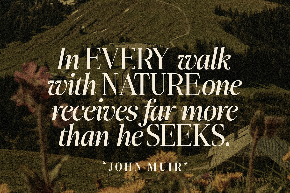 Slotera Calse Family Serif, a Serif Font by Marvadesign (Photo 11 of 12)