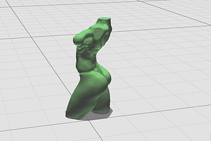 3d Female Torso In Motion