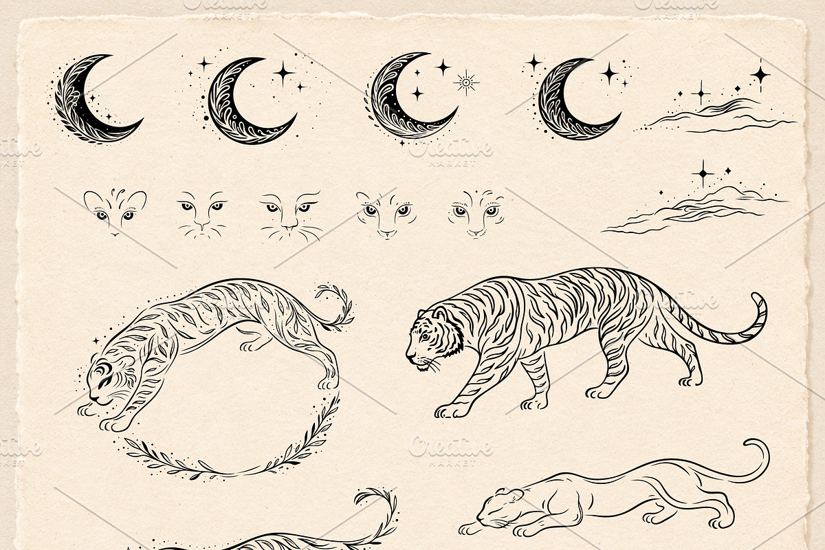 Wild Tiger & Leaves Botanical Vector, an Object Illustration by Christine Krahl (Photo 16 of 17)