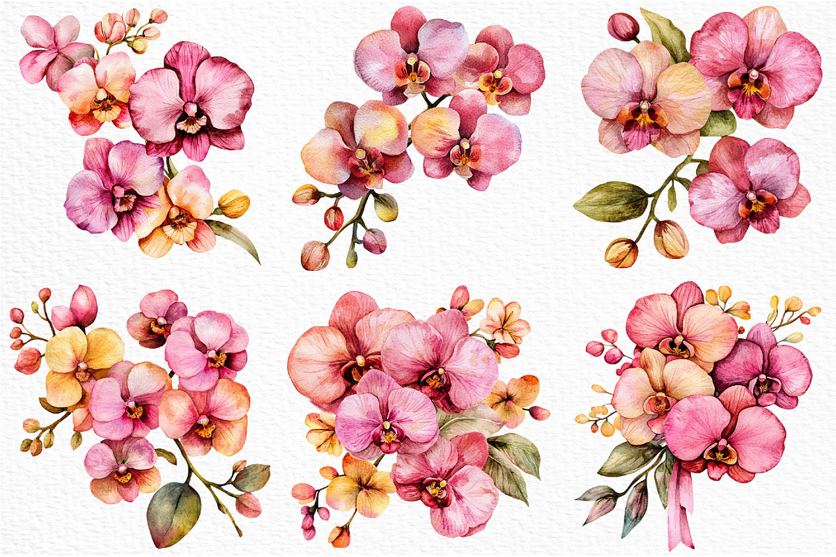 Watercolor Pink Orchid Clipart, an Illustration by Craft Nest (Photo 4 of 12)