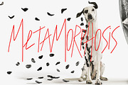 Metamorphosis Font, a Script Font by Solace (Thumbnail 4 of 5)