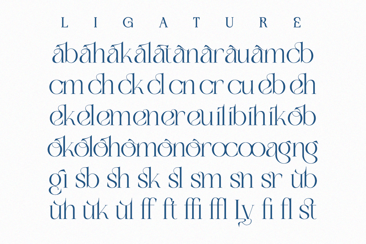 Lysoule - Minimal Luxury Ligature, a Serif Font by Qweera Studio (Photo 11 of 12)