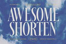 Awesome Shorten Tall Serif Display