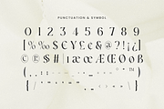Bokeh - Luxury Logo Font, a Serif Font by Sensatype (Thumbnail 11 of 12)