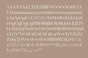 Shavina Serif Typeface, a Serif Font by Yukita Creative (Thumbnail 8 of 9)
