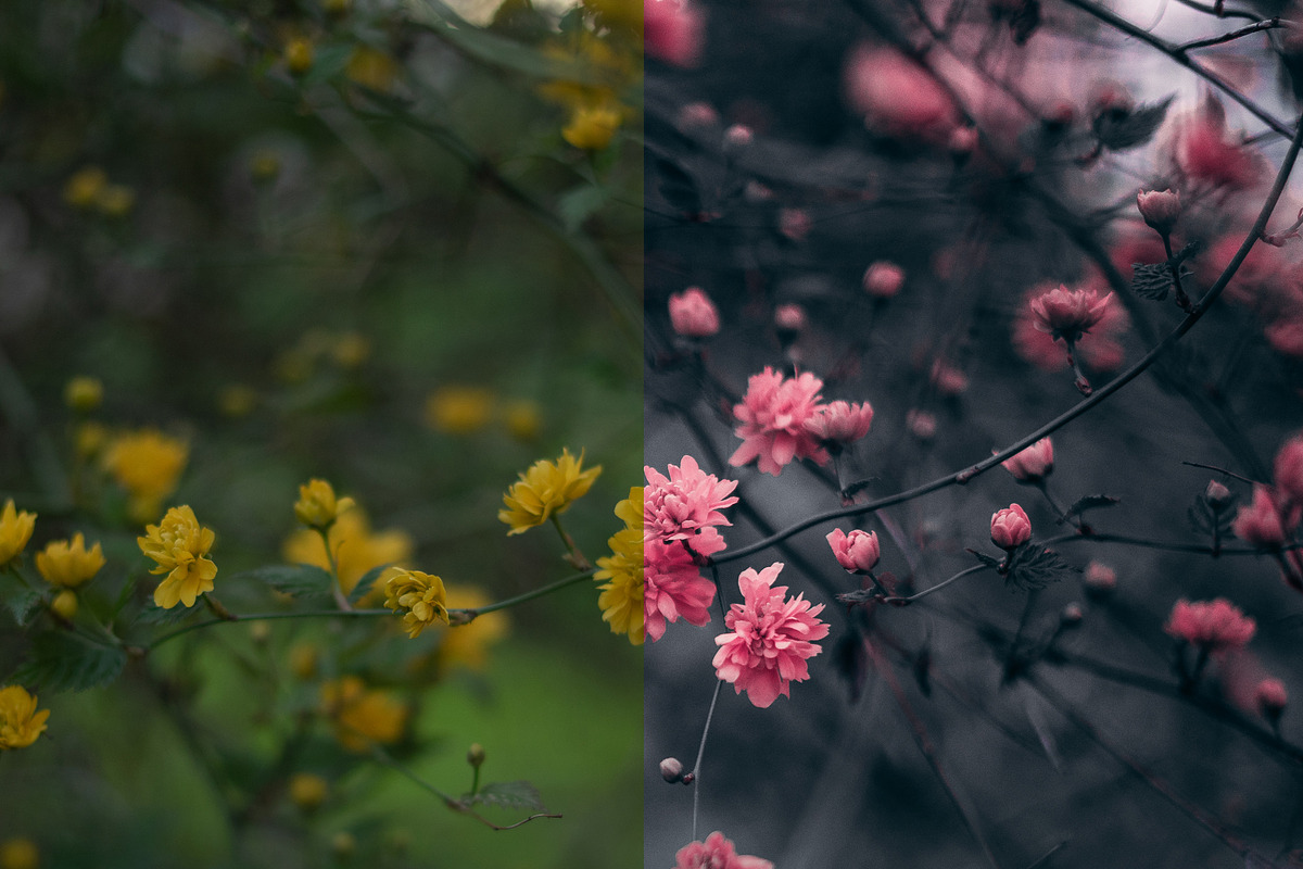 5 Dark tones presets for Lightroom, a Preset Add-On by Elijah (Photo 16 of 16)