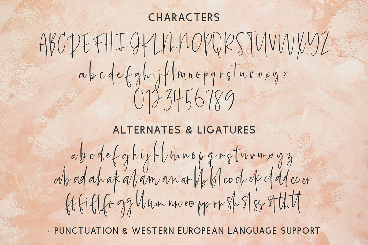 Summerback Script, a Script Font by Beck McCormick (Photo 10 of 10)