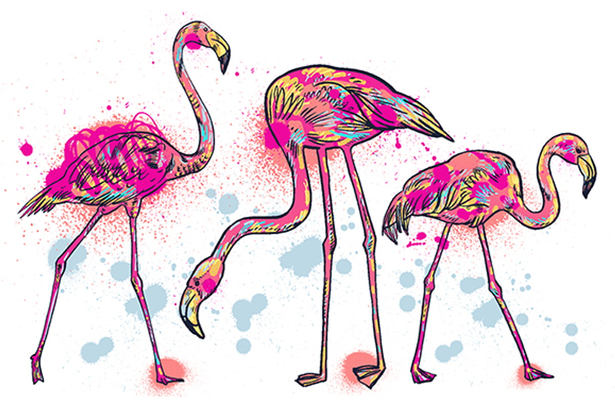 FLAMINGO, an Illustration by Tanya Akhmett (Photo 7 of 11)