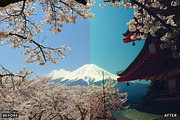 Ai Cherry Blossom Lightroom Presets, a Brushes & More by AAA Presets (Thumbnail 9 of 13)