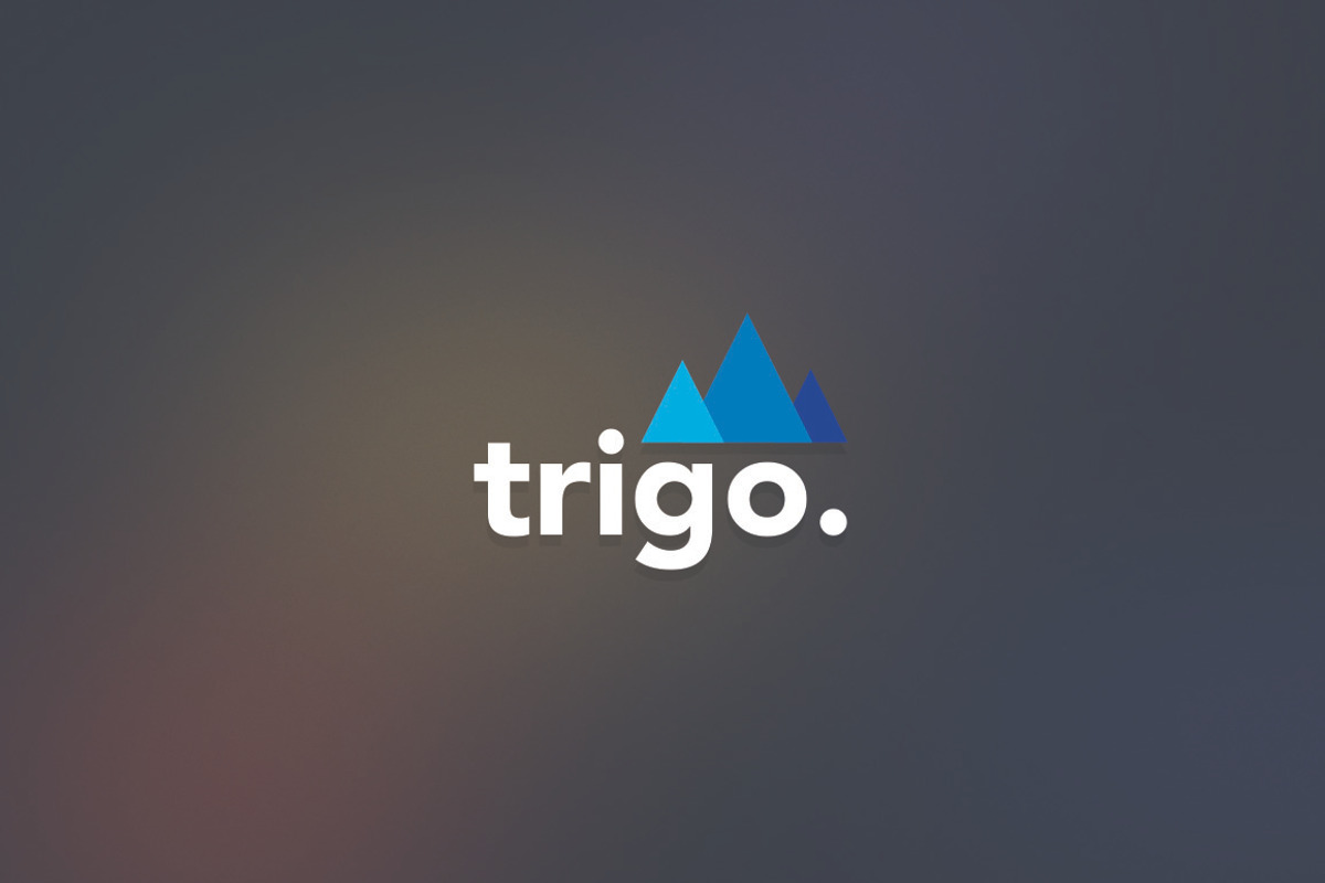 Trigo Logo Template, a Branding & Logo Template by Propex (Photo 2 of 2)