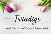 Twindigo Script Font, a Script Font by Loveleigh Loops (Thumbnail 1 of 8)