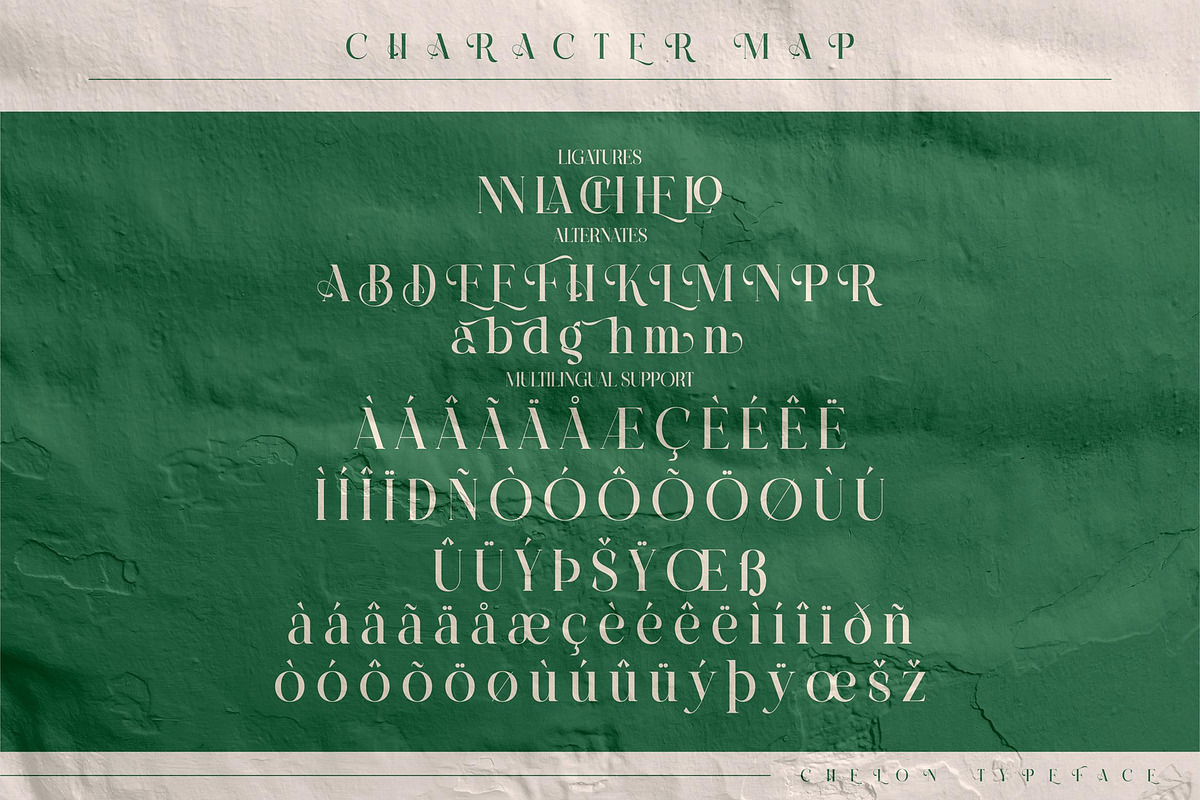 CHELON Classy Serif Font, a Serif Font by Storytype Studio (Photo 9 of 10)