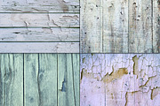 White Blue Painted Wood Texture, a Texture Graphic by Area (Thumbnail 2 of 4)