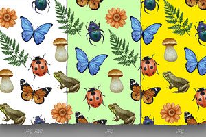 Insect Collection / Pattern Design