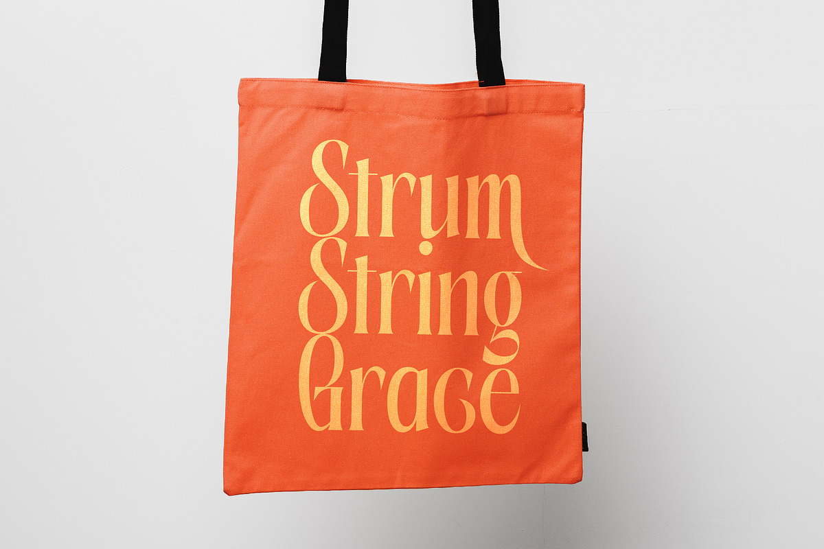 Aligner Tall Modern Serif Display, a Serif Font by timelesstype.co (Photo 14 of 20)