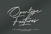 Bradford Signature, a Handwritten Font by Hendra Pratama (Thumbnail 2 of 13)